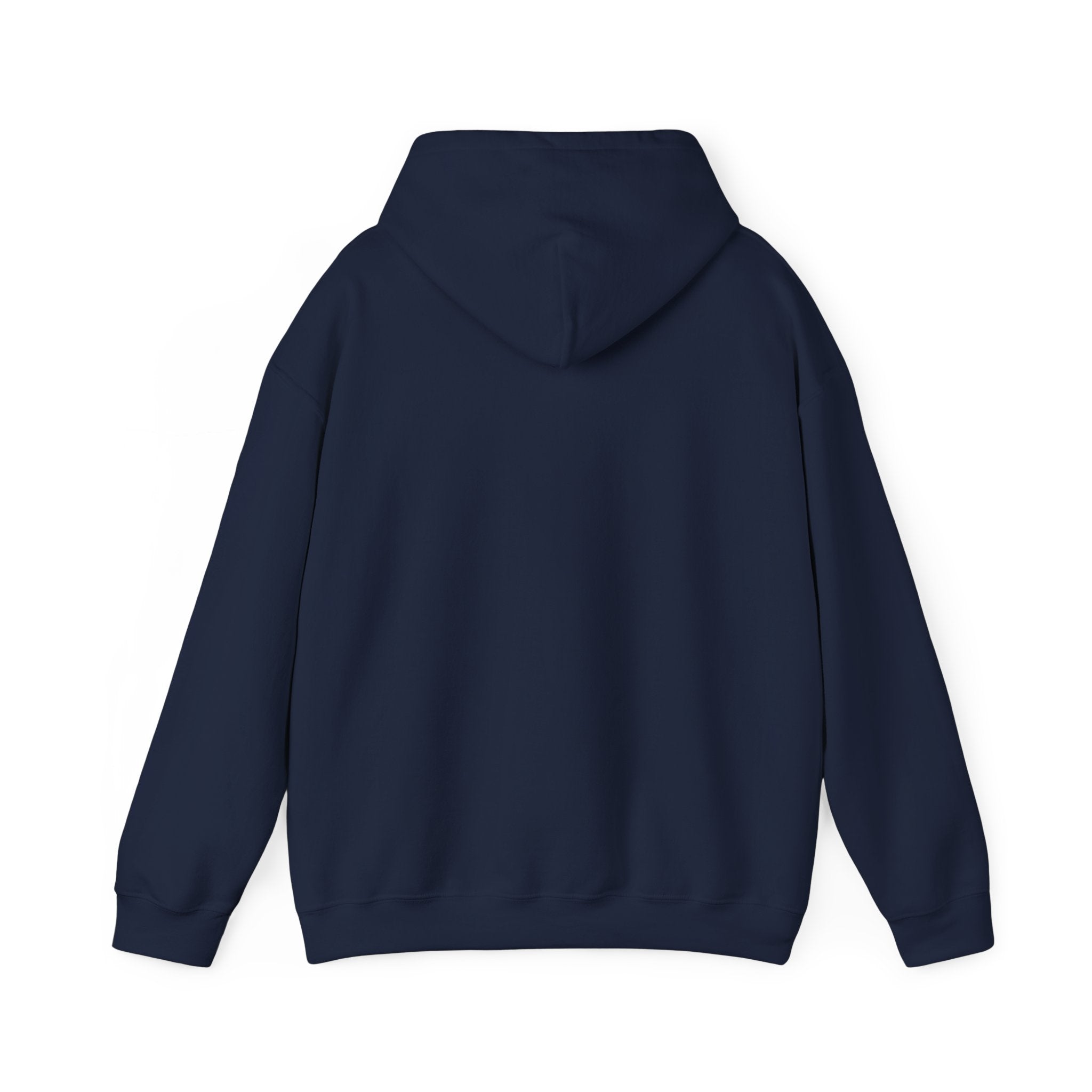 Raised on 90s Hip Hop & R&B Hoodie