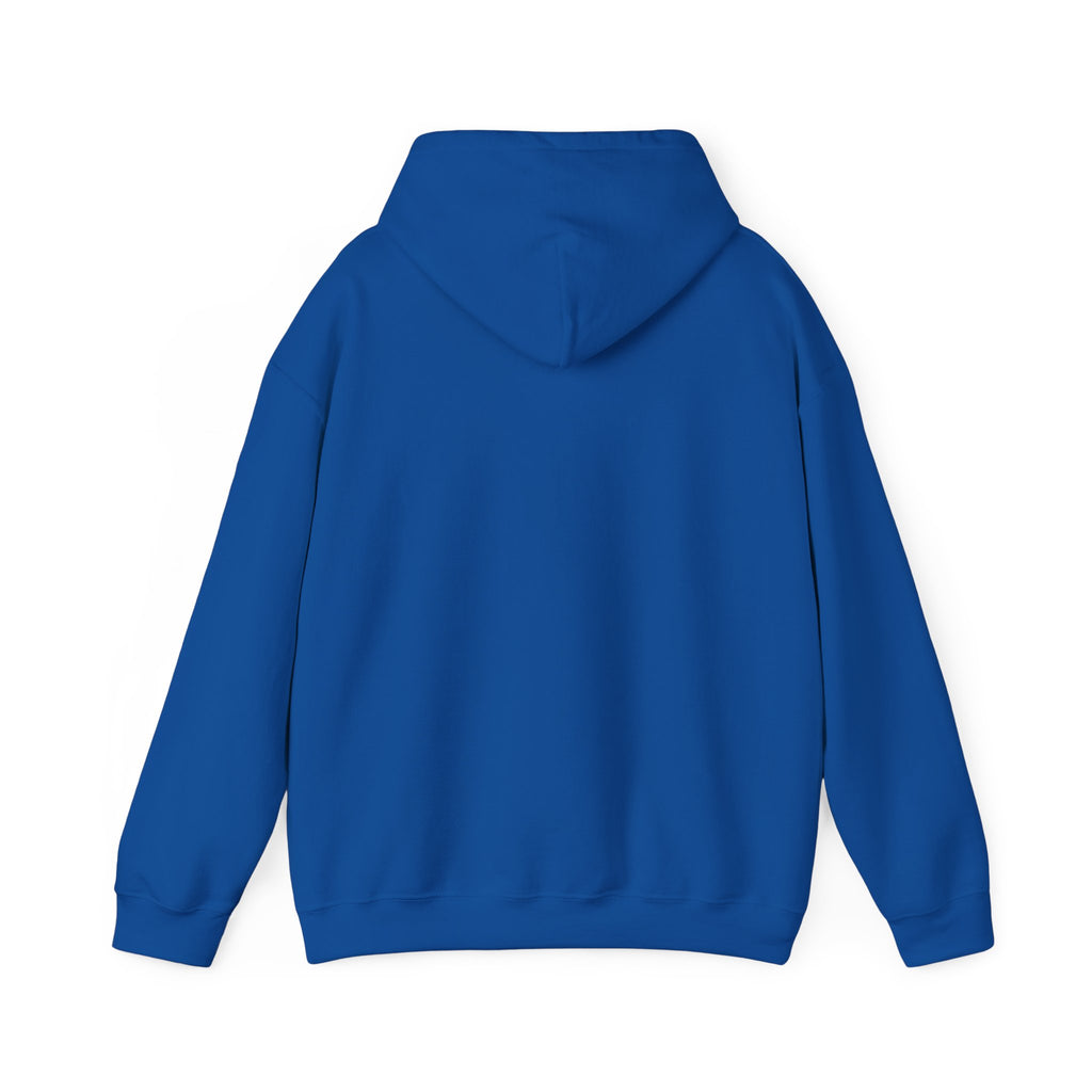 Zohran is My Mayor - Hoodie