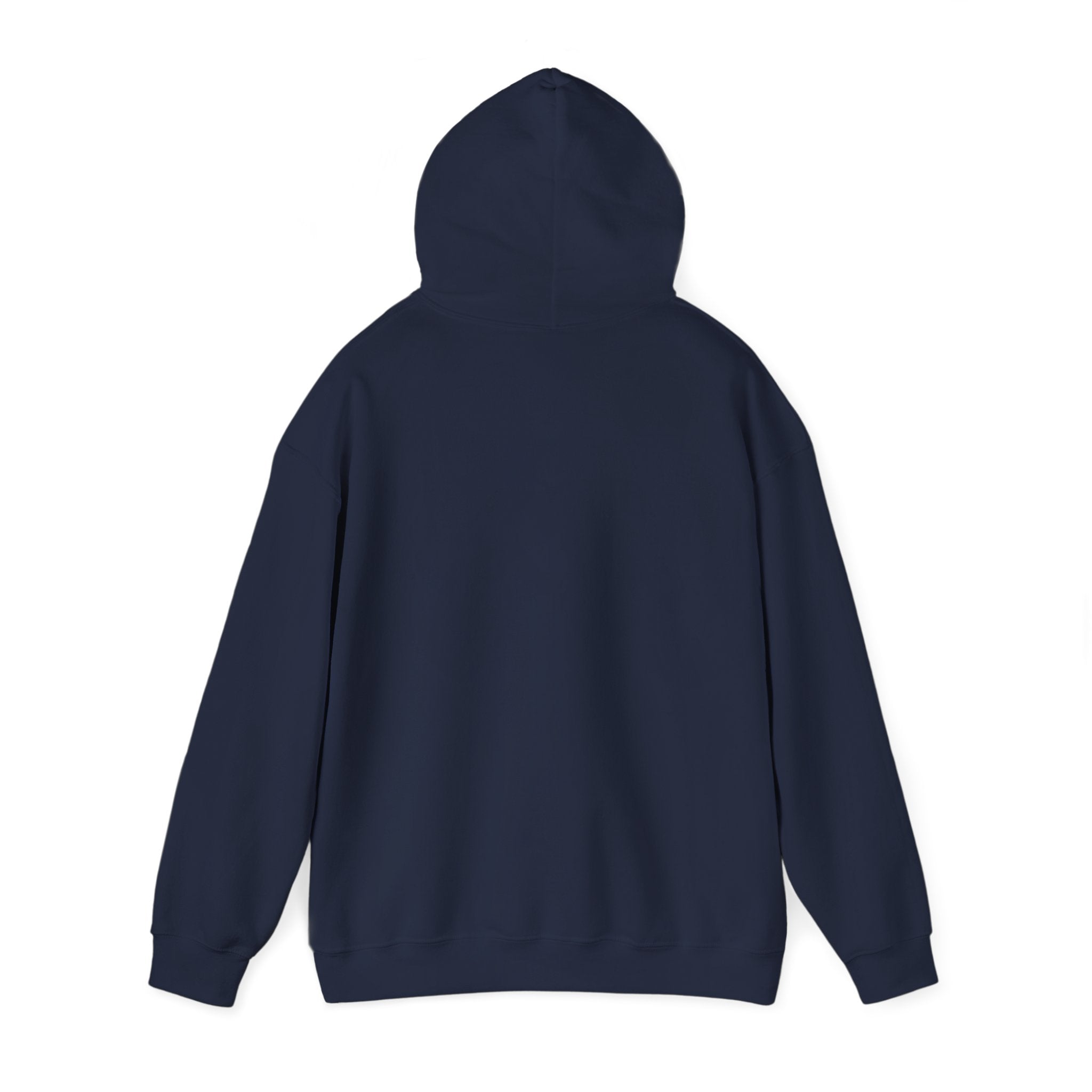 Raised on 90s Hip Hop & R&B Hoodie