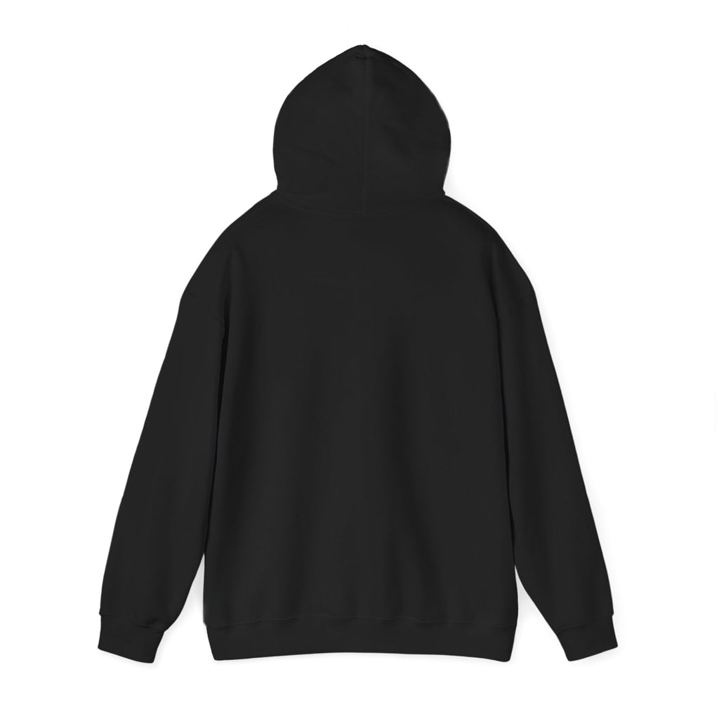 Zohran is My Mayor - Hoodie